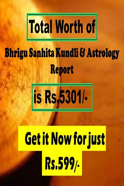 Bhrigu Sanhita Kundli Report